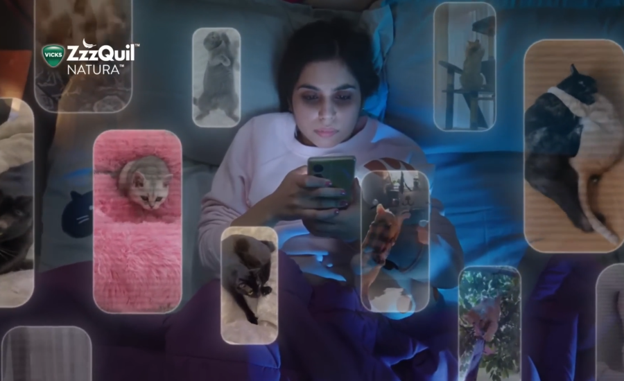 cat vids