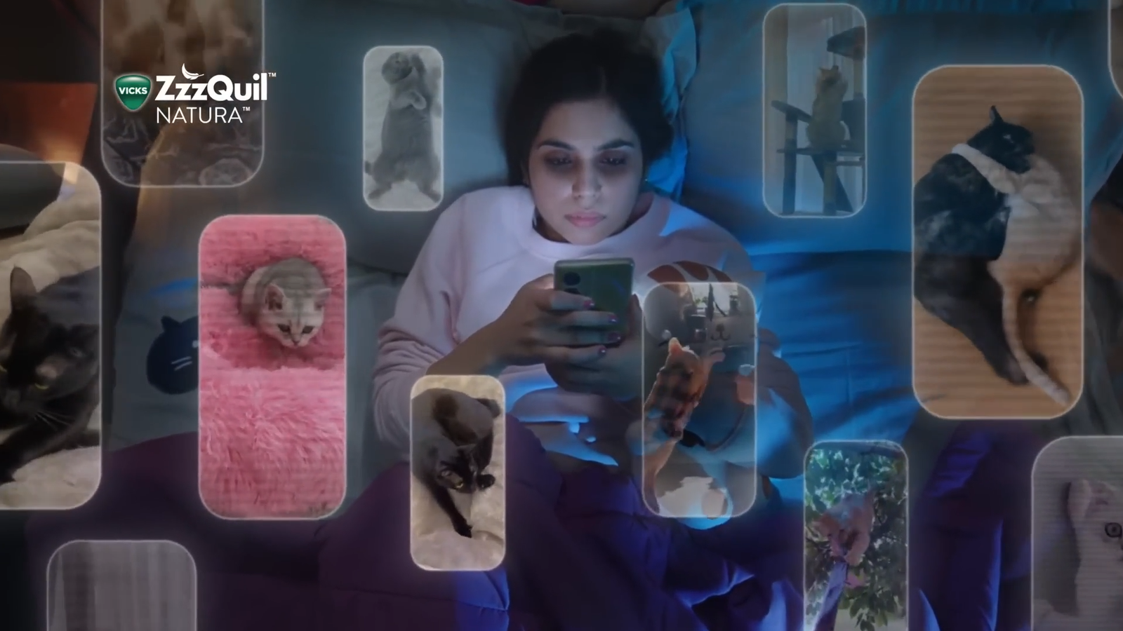 cat vids